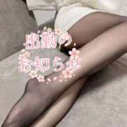 ヒメ日記 2026/03/15 13:58 投稿 まり(昭和46年生まれ) 熟年カップル名古屋～生電話からの営み～