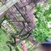 ヒメ日記 2025/04/27 11:59 投稿 一ノ瀬　あやこ 川崎南町人妻高級ソープ エル・カーヒル(ELCURHIL)秘密の刻