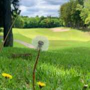 ヒメ日記 2025/05/11 07:04 投稿 一ノ瀬　あやこ 川崎南町人妻高級ソープ エル・カーヒル(ELCURHIL)秘密の刻