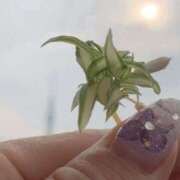 ヒメ日記 2025/06/09 06:59 投稿 一ノ瀬　あやこ 川崎南町人妻高級ソープ エル・カーヒル(ELCURHIL)秘密の刻