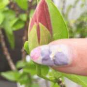 ヒメ日記 2025/06/10 06:43 投稿 一ノ瀬　あやこ 川崎南町人妻高級ソープ エル・カーヒル(ELCURHIL)秘密の刻