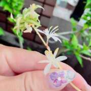 ヒメ日記 2025/06/10 10:58 投稿 一ノ瀬　あやこ 川崎南町人妻高級ソープ エル・カーヒル(ELCURHIL)秘密の刻