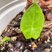 ヒメ日記 2025/06/10 19:20 投稿 一ノ瀬　あやこ 川崎南町人妻高級ソープ エル・カーヒル(ELCURHIL)秘密の刻