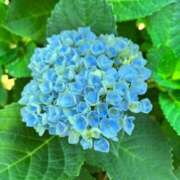 ヒメ日記 2025/06/11 01:36 投稿 一ノ瀬　あやこ 川崎南町人妻高級ソープ エル・カーヒル(ELCURHIL)秘密の刻