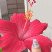 ヒメ日記 2025/06/11 06:27 投稿 一ノ瀬　あやこ 川崎南町人妻高級ソープ エル・カーヒル(ELCURHIL)秘密の刻