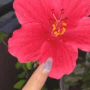 ヒメ日記 2025/06/11 19:23 投稿 一ノ瀬　あやこ 川崎南町人妻高級ソープ エル・カーヒル(ELCURHIL)秘密の刻