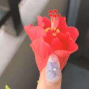 ヒメ日記 2025/06/12 06:19 投稿 一ノ瀬　あやこ 川崎南町人妻高級ソープ エル・カーヒル(ELCURHIL)秘密の刻