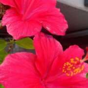 ヒメ日記 2025/06/14 12:29 投稿 一ノ瀬　あやこ 川崎南町人妻高級ソープ エル・カーヒル(ELCURHIL)秘密の刻