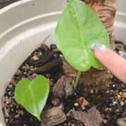 ヒメ日記 2025/06/16 06:49 投稿 一ノ瀬　あやこ 川崎南町人妻高級ソープ エル・カーヒル(ELCURHIL)秘密の刻