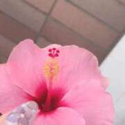 ヒメ日記 2025/06/20 06:20 投稿 一ノ瀬　あやこ 川崎南町人妻高級ソープ エル・カーヒル(ELCURHIL)秘密の刻