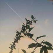 ヒメ日記 2025/06/21 05:04 投稿 一ノ瀬　あやこ 川崎南町人妻高級ソープ エル・カーヒル(ELCURHIL)秘密の刻