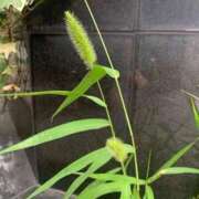 ヒメ日記 2025/06/23 16:59 投稿 一ノ瀬　あやこ 川崎南町人妻高級ソープ エル・カーヒル(ELCURHIL)秘密の刻