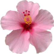 ヒメ日記 2025/06/23 21:30 投稿 一ノ瀬　あやこ 川崎南町人妻高級ソープ エル・カーヒル(ELCURHIL)秘密の刻