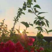 ヒメ日記 2025/07/01 05:14 投稿 一ノ瀬　あやこ 川崎南町人妻高級ソープ エル・カーヒル(ELCURHIL)秘密の刻