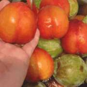 ヒメ日記 2025/07/02 18:31 投稿 一ノ瀬　あやこ 川崎南町人妻高級ソープ エル・カーヒル(ELCURHIL)秘密の刻