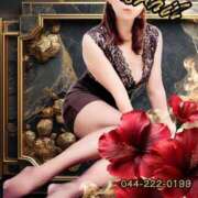 ヒメ日記 2025/07/05 07:45 投稿 一ノ瀬　あやこ 川崎南町人妻高級ソープ エル・カーヒル(ELCURHIL)秘密の刻