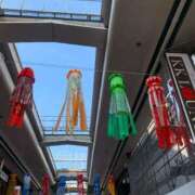 ヒメ日記 2025/07/05 09:15 投稿 一ノ瀬　あやこ 川崎南町人妻高級ソープ エル・カーヒル(ELCURHIL)秘密の刻