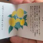 ヒメ日記 2025/07/05 12:26 投稿 一ノ瀬　あやこ 川崎南町人妻高級ソープ エル・カーヒル(ELCURHIL)秘密の刻