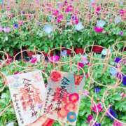 ヒメ日記 2025/07/07 18:15 投稿 一ノ瀬　あやこ 川崎南町人妻高級ソープ エル・カーヒル(ELCURHIL)秘密の刻