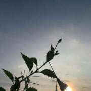 ヒメ日記 2025/07/12 06:28 投稿 一ノ瀬　あやこ 川崎南町人妻高級ソープ エル・カーヒル(ELCURHIL)秘密の刻