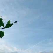 ヒメ日記 2025/07/13 05:52 投稿 一ノ瀬　あやこ 川崎南町人妻高級ソープ エル・カーヒル(ELCURHIL)秘密の刻