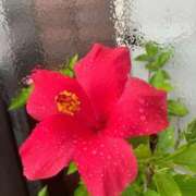 ヒメ日記 2025/07/17 07:11 投稿 一ノ瀬　あやこ 川崎南町人妻高級ソープ エル・カーヒル(ELCURHIL)秘密の刻