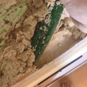 ヒメ日記 2025/07/18 07:37 投稿 一ノ瀬　あやこ 川崎南町人妻高級ソープ エル・カーヒル(ELCURHIL)秘密の刻