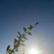 ヒメ日記 2025/07/19 06:31 投稿 一ノ瀬　あやこ 川崎南町人妻高級ソープ エル・カーヒル(ELCURHIL)秘密の刻