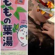 ヒメ日記 2025/07/19 07:31 投稿 一ノ瀬　あやこ 川崎南町人妻高級ソープ エル・カーヒル(ELCURHIL)秘密の刻