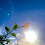 ヒメ日記 2025/07/21 12:55 投稿 一ノ瀬　あやこ 川崎南町人妻高級ソープ エル・カーヒル(ELCURHIL)秘密の刻