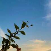 ヒメ日記 2025/07/23 06:25 投稿 一ノ瀬　あやこ 川崎南町人妻高級ソープ エル・カーヒル(ELCURHIL)秘密の刻