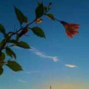 ヒメ日記 2025/07/25 06:15 投稿 一ノ瀬　あやこ 川崎南町人妻高級ソープ エル・カーヒル(ELCURHIL)秘密の刻