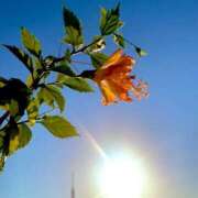 ヒメ日記 2025/07/26 06:33 投稿 一ノ瀬　あやこ 川崎南町人妻高級ソープ エル・カーヒル(ELCURHIL)秘密の刻