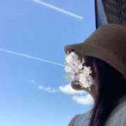 ヒメ日記 2025/07/30 14:09 投稿 一ノ瀬　あやこ 川崎南町人妻高級ソープ エル・カーヒル(ELCURHIL)秘密の刻