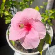 ヒメ日記 2025/07/30 20:33 投稿 一ノ瀬　あやこ 川崎南町人妻高級ソープ エル・カーヒル(ELCURHIL)秘密の刻