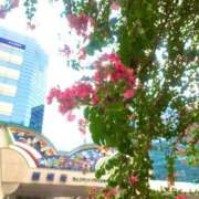 ヒメ日記 2025/08/01 07:17 投稿 一ノ瀬　あやこ 川崎南町人妻高級ソープ エル・カーヒル(ELCURHIL)秘密の刻