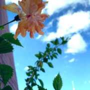 ヒメ日記 2025/08/03 16:38 投稿 一ノ瀬　あやこ 川崎南町人妻高級ソープ エル・カーヒル(ELCURHIL)秘密の刻