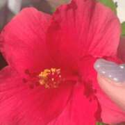 ヒメ日記 2025/08/09 11:45 投稿 一ノ瀬　あやこ 川崎南町人妻高級ソープ エル・カーヒル(ELCURHIL)秘密の刻