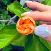 ヒメ日記 2025/08/10 05:48 投稿 一ノ瀬　あやこ 川崎南町人妻高級ソープ エル・カーヒル(ELCURHIL)秘密の刻