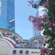 ヒメ日記 2025/08/15 06:57 投稿 一ノ瀬　あやこ 川崎南町人妻高級ソープ エル・カーヒル(ELCURHIL)秘密の刻