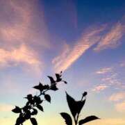 ヒメ日記 2025/09/03 05:58 投稿 一ノ瀬　あやこ 川崎南町人妻高級ソープ エル・カーヒル(ELCURHIL)秘密の刻