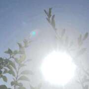 ヒメ日記 2025/09/06 06:57 投稿 一ノ瀬　あやこ 川崎南町人妻高級ソープ エル・カーヒル(ELCURHIL)秘密の刻