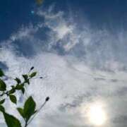 ヒメ日記 2025/09/11 08:32 投稿 一ノ瀬　あやこ 川崎南町人妻高級ソープ エル・カーヒル(ELCURHIL)秘密の刻