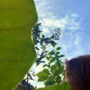 ヒメ日記 2025/09/15 08:15 投稿 一ノ瀬　あやこ 川崎南町人妻高級ソープ エル・カーヒル(ELCURHIL)秘密の刻