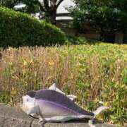 ヒメ日記 2025/09/16 16:09 投稿 一ノ瀬　あやこ 川崎南町人妻高級ソープ エル・カーヒル(ELCURHIL)秘密の刻