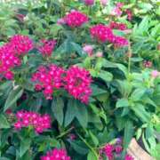 ヒメ日記 2025/09/17 15:49 投稿 一ノ瀬　あやこ 川崎南町人妻高級ソープ エル・カーヒル(ELCURHIL)秘密の刻