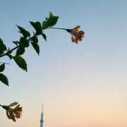 ヒメ日記 2025/09/18 05:36 投稿 一ノ瀬　あやこ 川崎南町人妻高級ソープ エル・カーヒル(ELCURHIL)秘密の刻