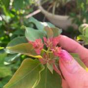 ヒメ日記 2025/09/22 12:16 投稿 一ノ瀬　あやこ 川崎南町人妻高級ソープ エル・カーヒル(ELCURHIL)秘密の刻