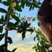 ヒメ日記 2025/09/26 06:20 投稿 一ノ瀬　あやこ 川崎南町人妻高級ソープ エル・カーヒル(ELCURHIL)秘密の刻