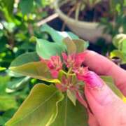 ヒメ日記 2025/10/02 22:33 投稿 一ノ瀬　あやこ 川崎南町人妻高級ソープ エル・カーヒル(ELCURHIL)秘密の刻